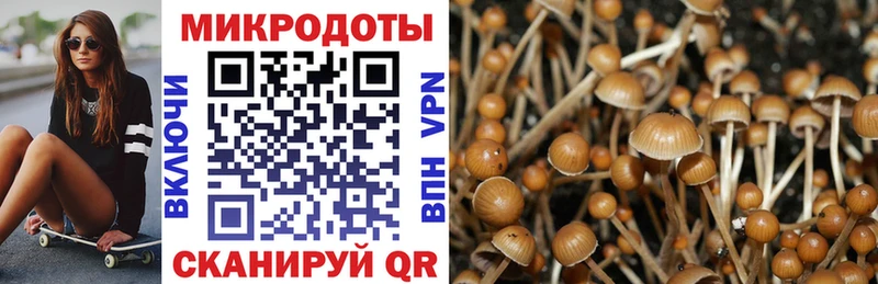 Купить где  Лихославль  Галлюциногенные грибы MAGIC MUSHROOMS 