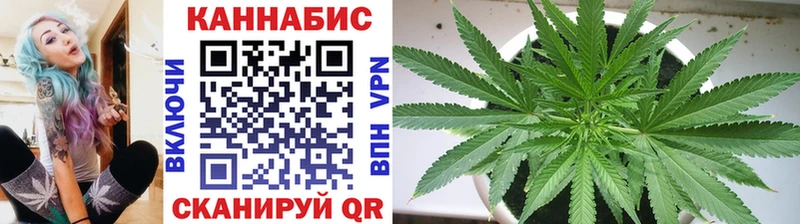 Шишки марихуана сатива  Купить закладки  Лихославль 